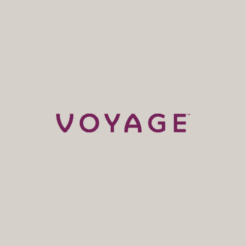 Voyage Artboard 2